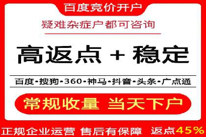 谷歌竞价广告与SEO结合的营销案例解析